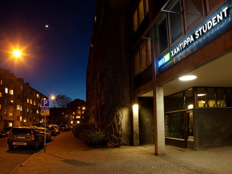 Neonskyltar på staudentboendet xantippa på fågelbacken