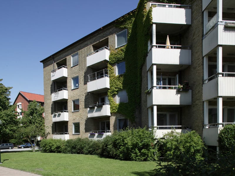 Grön klätterväxt på gul tegelfasad