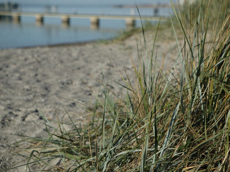 Strand, brygga, sand