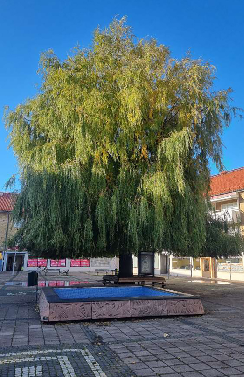 Persborg.jpg