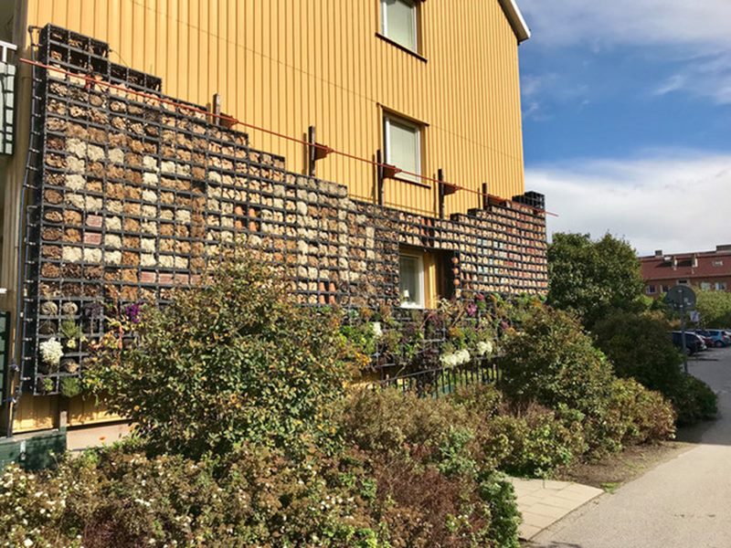 I fantastiska Seved ligger Sveriges FINASTE insektshotell. Det har engagerat och glatt grannar, förbipasserande och inte minst de sextiotal personer som engagerar sig i Odlingsnätverket.